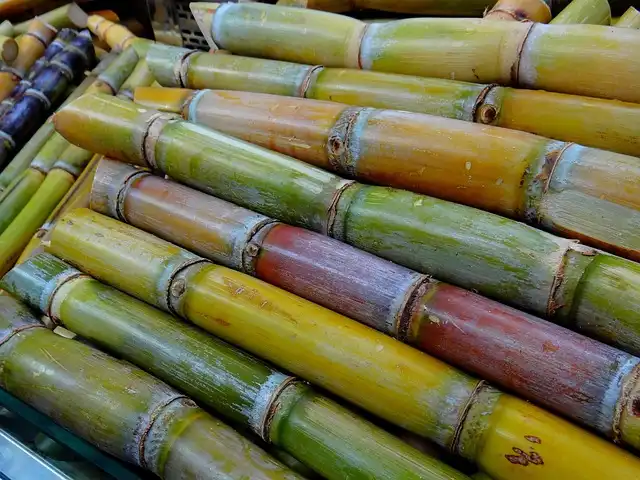 Coca-Cola: Cane Sugar Variety & US Sugar Supply